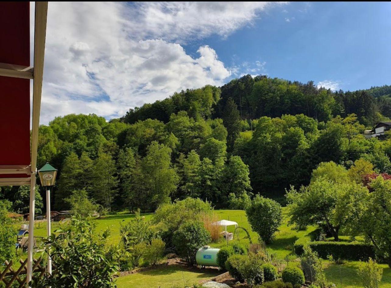 Landhotel Zur Wegelnburg Schonau  Luaran gambar